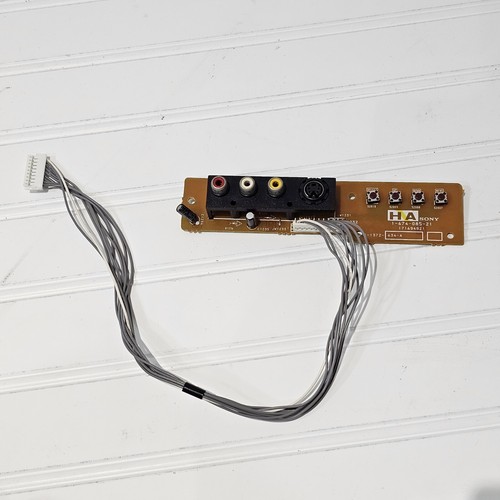 Parte anteriore rca plug - rca, s
